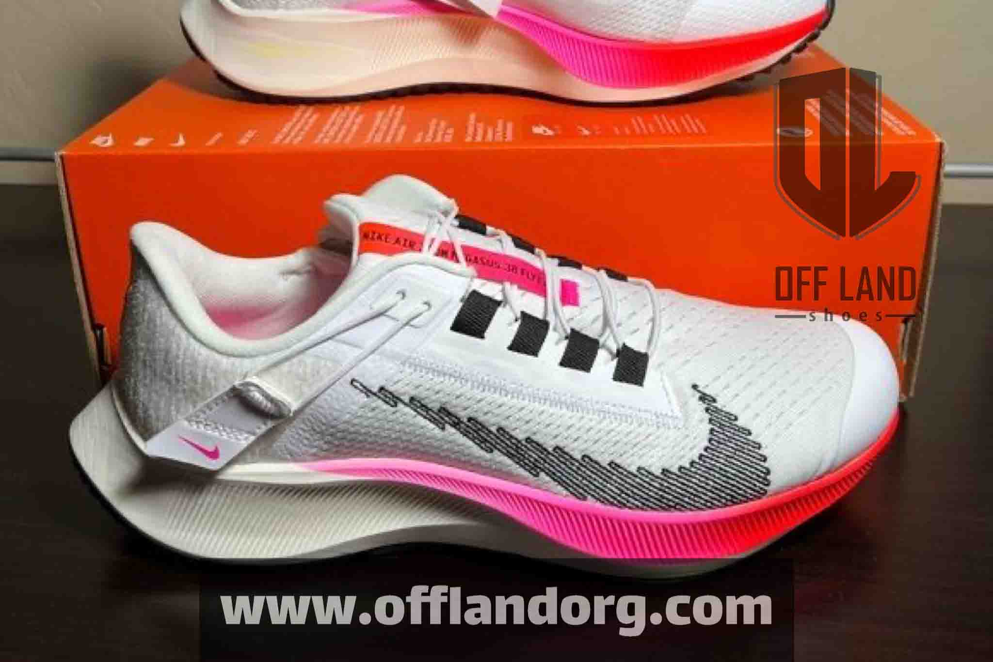 pegasus-model-nike-shoes